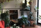 Casa solar con terreno en venta en la Carrer del Castell, Vilanova i la Geltrú, ref: TR104115 foto