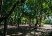 Finca rústica en venta en la Monte Redondo, Álora, ref: TR104117 foto