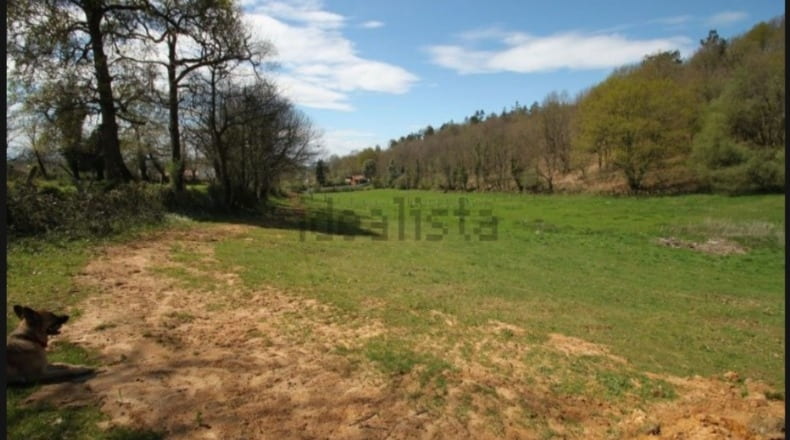 Asturias - Cuartes - 4700m2