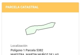 Martín Muñoz de las Posadas 70010&nbsp;m² 