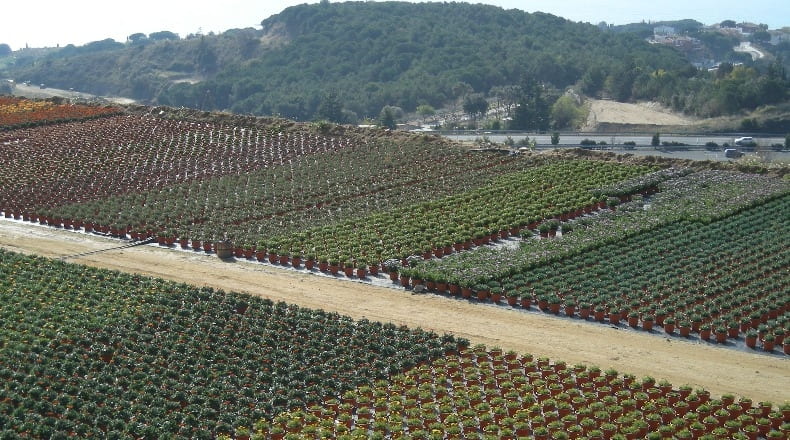 Barcelona - Canet de Mar - 40000m2