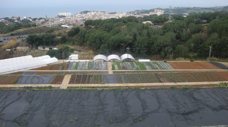 Barcelona - Canet de Mar - 40000m2