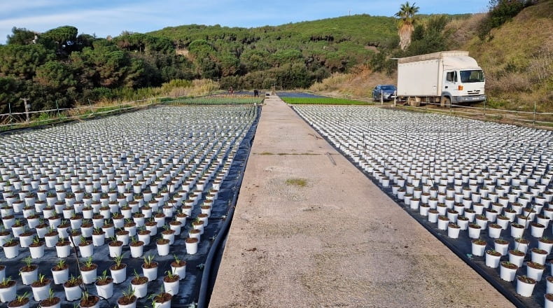Barcelona - Canet de Mar - 40000m2