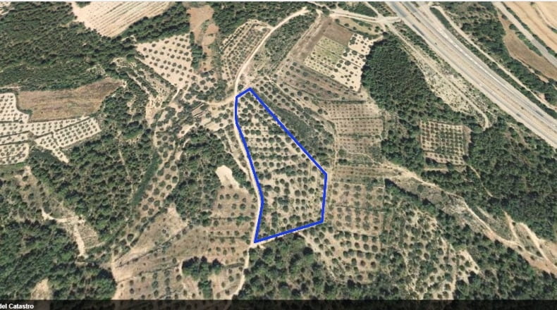 Castellón - Jérica - 12652m2