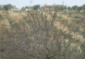 Finca rústica en venda a la Carpio de Tajo, El Carpio de Tajo, ref.: TR104283 foto