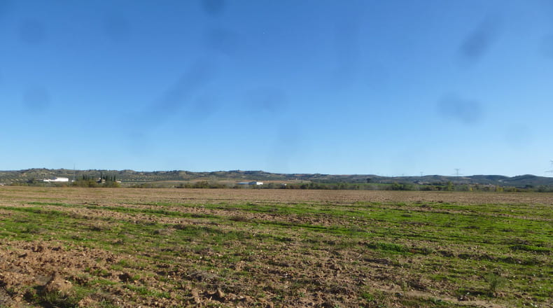 Toledo - Cebolla - 370000m2