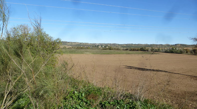 Toledo - Cebolla - 370000m2