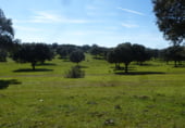 Terreny no urbanitzable en venda a la N-403a, Maqueda, ref.: TR104281 foto