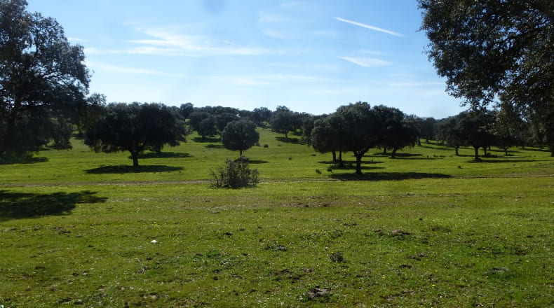 Toledo - Maqueda - 140m2