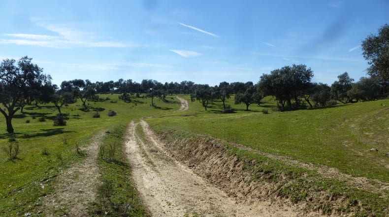 Toledo - Maqueda - 140m2