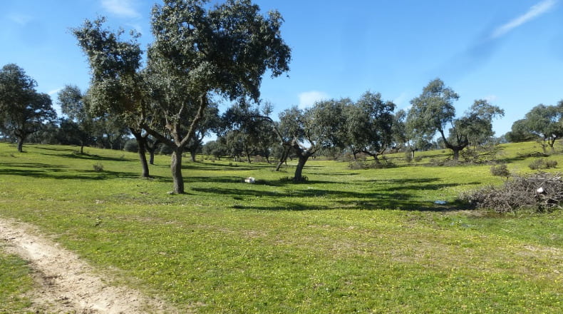 Toledo - Maqueda - 140m2