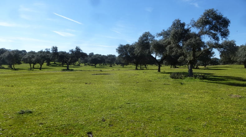 Toledo - Maqueda - 140m2