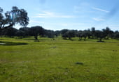 Terreny no urbanitzable en venda a la N-403a, Maqueda, ref.: TR104281 foto