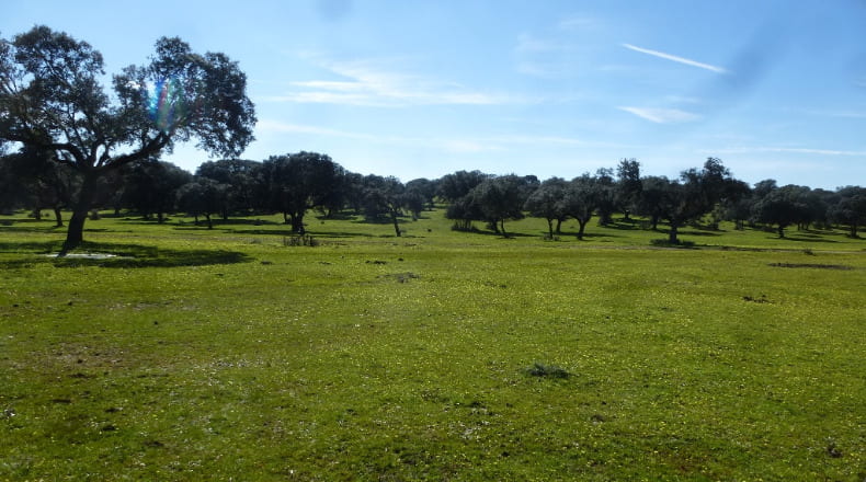 Toledo - Maqueda - 140m2