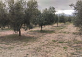 Промышленное здание на продажу в городе Толедо Фото