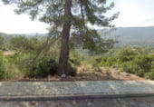 Sòl urbà en venda a la Carrer del Serral Llarg, Olesa de Bonesvalls, ref.: TR104293 foto