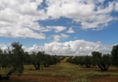 Terreny no urbanitzable en venda a la A-312a, Linares, ref.: TR104292 foto
