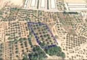Terreno no urbanizable en venta en la El Rubial, Jérica, ref: TR104286 foto