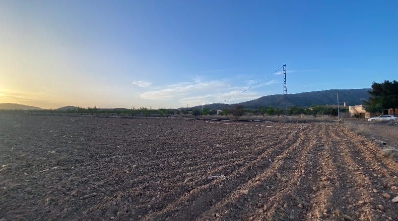 Alicante - Paredón - 10014m2
