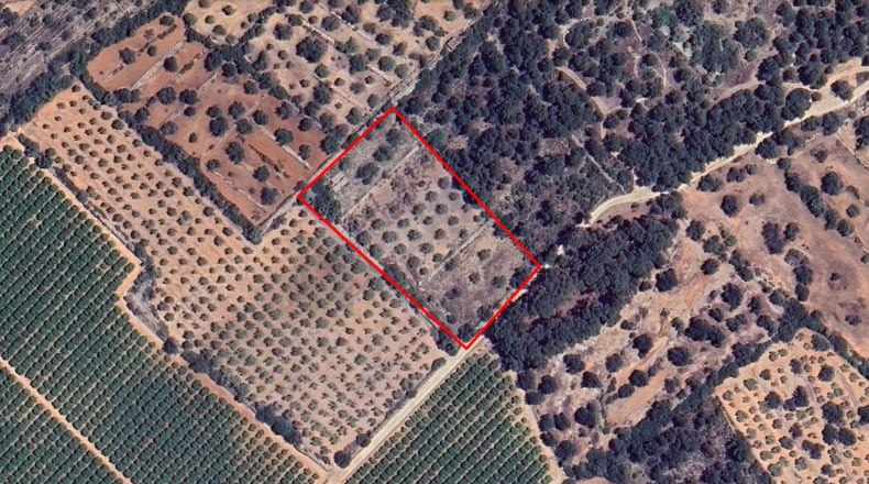 Castellón - Cálig - 8140m2