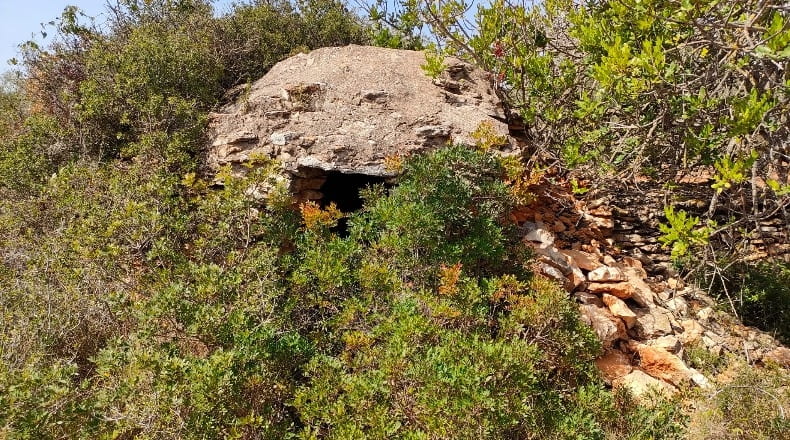 Castellón - Cálig - 8140m2
