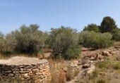 Terreny no urbanitzable en venda a la Camí de Càlig a Ulldecona, Càlig, ref.: TR104345 foto
