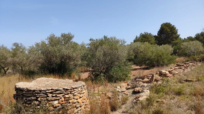 Castellón - Cálig - 8140m2