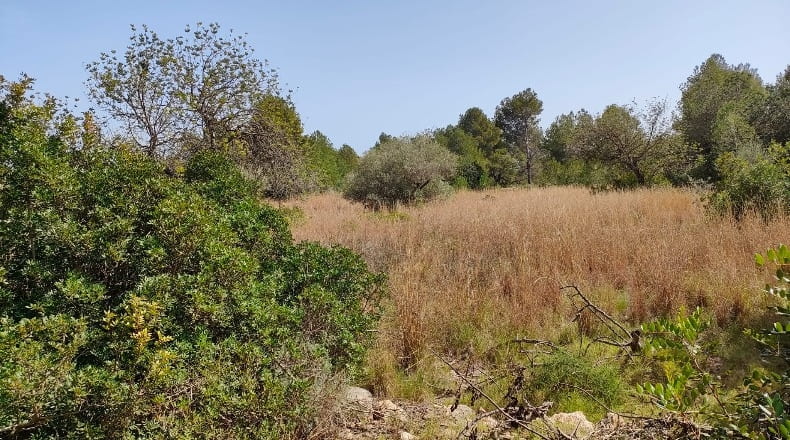 Castellón - Cálig - 8140m2