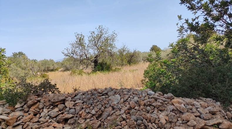Castellón - Cálig - 8140m2