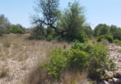 Terreny no urbanitzable en venda a la Camí de Càlig a Ulldecona, Càlig, ref.: TR104345 foto