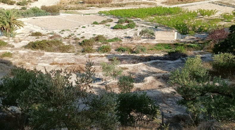 Murcia - Abarán - 7246m2