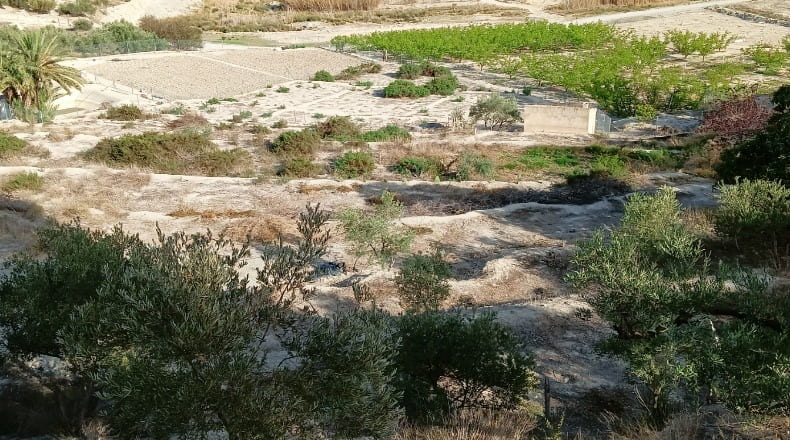 Murcia - Abarán - 7246m2