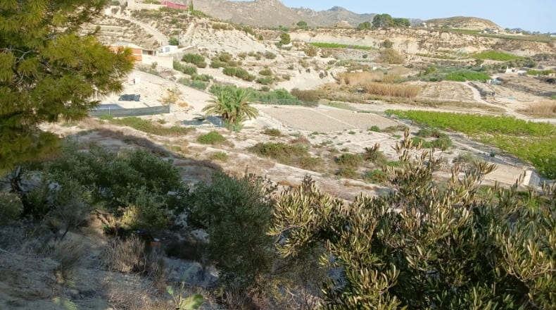 Murcia - Abarán - 7246m2