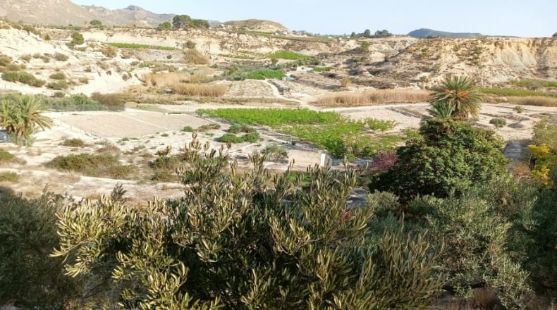 Murcia - Abarán - 7246m2