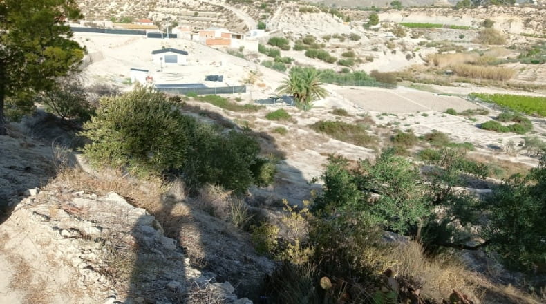 Murcia - Abarán - 7246m2