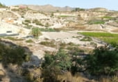 Terreny amb magatzem en venda a la Virgen del oro, Abarán, ref.: TR104353 foto