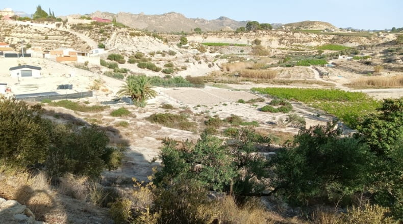 Murcia - Abarán - 7246m2