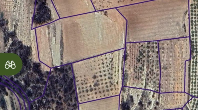 Castellón - Masada del Sordo - 300000m2