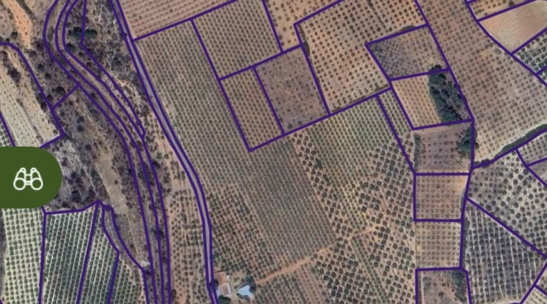 Castellón - Masada del Sordo - 300000m2