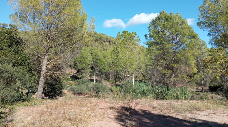 Barcelona - Castellbisbal - 1584m2