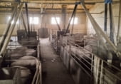 Farm for sale on Polígono 1, Pesquera de Duero, ref: TR104505 photo