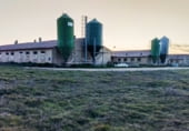 Farm for sale on Polígono 1, Pesquera de Duero, ref: TR104505 photo