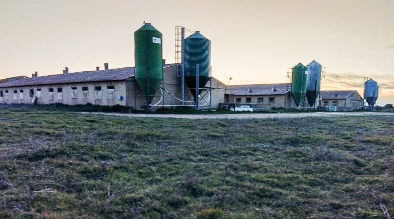 Valladolid - Pesquera de Duero - 100000m2