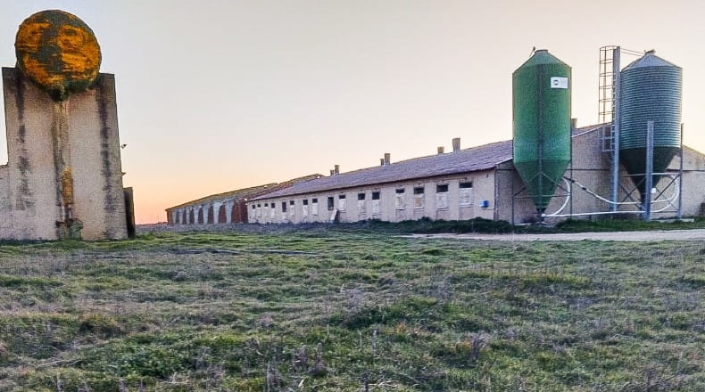 Valladolid - Pesquera de Duero - 100000m2