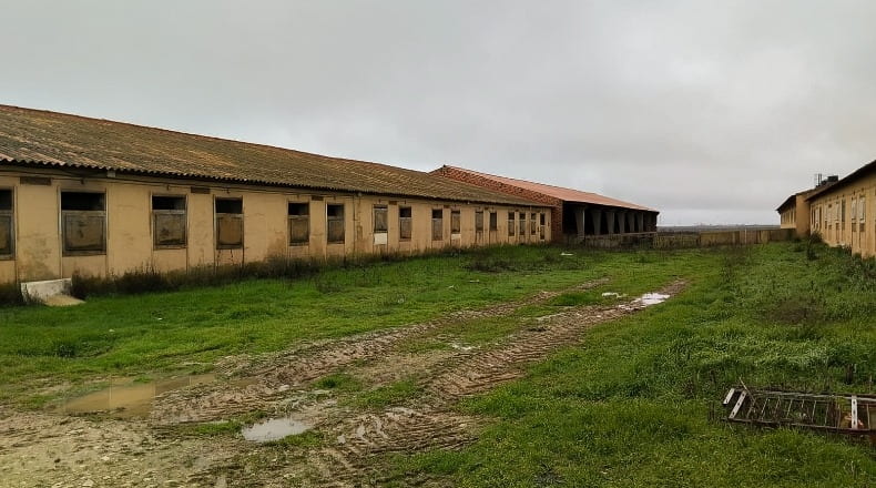 Valladolid - Pesquera de Duero - 100000m2