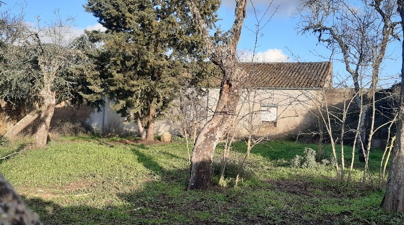 Salamanca - Sexmiro - 2415m2