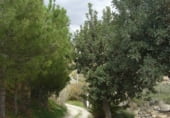 Chalet independiente con terreno en venta en la Polígono Industrial El Labradorcico, Águilas, ref: TR104782 foto