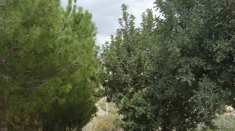 Murcia - Águilas - 7000m2