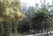 Chalet independiente con terreno en venta en la Polígono Industrial El Labradorcico, Águilas, ref: TR104782 foto