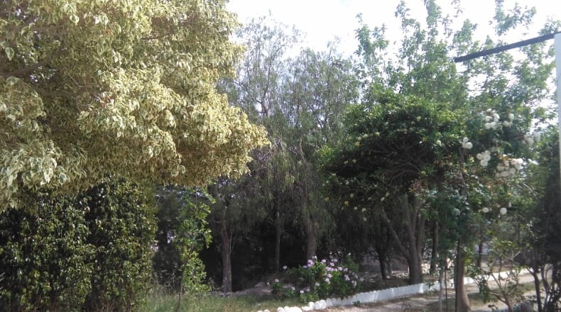 Murcia - Águilas - 7000m2